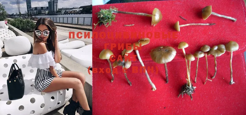 что такое наркотик  Ишим  Псилоцибиновые грибы MAGIC MUSHROOMS 